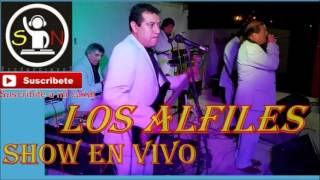 LOS ALFILES ENGANCHADOS EN VIVO GRANDES EXITOS [upl. by Adnilreh]