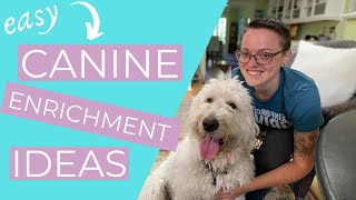 Enrichment for Dogs Easy Dog Enrichment Ideas  THE KIND CANINE [upl. by Aiela]