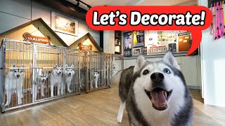 Decorating our DOG ROOM FINALLY [upl. by Pack]