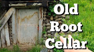 Our 1920s Root Cellar [upl. by Olifoet197]