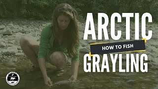 How to Fish for Arctic Grayling [upl. by Aleda]