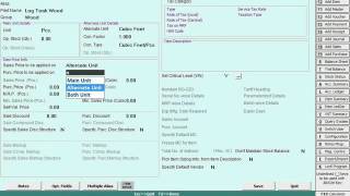 Pick Item Sizing Details from Item Description in BUSY Hindi [upl. by Nauqel]