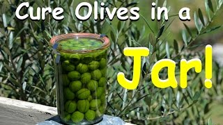 How to Cure Olives in a Jar  Homegrown DIY [upl. by Declan]