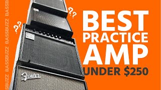 Best Beginner Bass Amp Group Review [upl. by Branscum415]