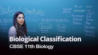 Biological Classification CBSE 11th Biology in English  Misostudy [upl. by Anirb]