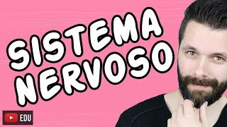 SISTEMA NERVOSO  FISIOLOGIA  Aula  Biologia com Samuel Cunha [upl. by Raeann]