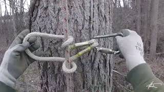 Simple PreTension 31  Arborist Rigging [upl. by Anthea435]