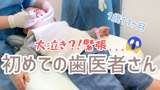 【1歳✳︎初めての歯医者さん】大泣き？！4歳のお姉ちゃんと姉妹で歯科検診に行ってきたレポ🦷フッ素塗ってきました [upl. by Nomyaw]