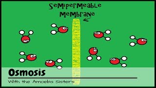 OLD VIDEO Osmosis [upl. by Athena]