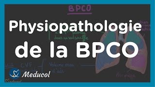 Emphysème pulmonaire et BPCO physiopathologie et causes [upl. by Banks]