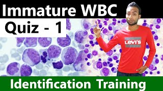 Immature WBC Identification Training Quiz  12 [upl. by Milurd]