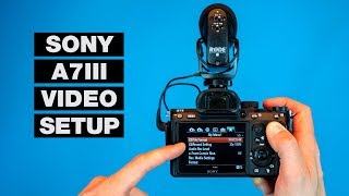 How to Setup Your Camera for Video — Sony A7III Tutorial [upl. by Brok]