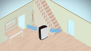 Dehumidifiers How do they work [upl. by Allisurd168]