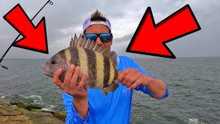 How to Catch Sheepshead with a Popping Cork  Fishing theJetty for Sheepshead [upl. by Nagn56]