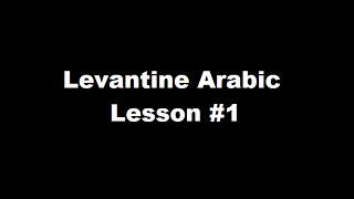 Levantine Arabic Dialect for Beginners  Lesson 1 [upl. by Einwahr642]