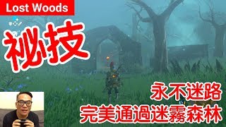 【薩爾達傳說 荒野之息】Lost Woods：永不迷路！完美穿越迷霧森林 [upl. by Hoffer100]