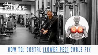 How to Cable Fly for Lower Chest High to Low [upl. by Nonarb]