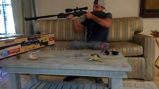 Benjamin Vaporizer 177 Air Rifle Review [upl. by Ytrebil]