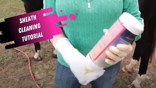 Sheath Cleaning Tutorial for Horses [upl. by Nyllij934]