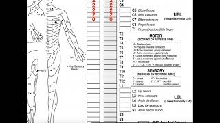 Neuroscience of Speech Language Pathology SLP [upl. by Erasme]