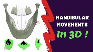 Mandibular Movements in 3D  SUPER EASY [upl. by Renae]