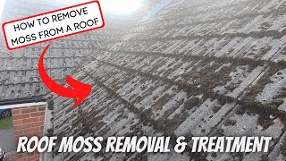 House Roof Cleaning  Moss Removal  MOSS KILLER [upl. by Madonna]