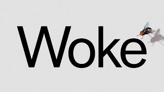 What Is Woke [upl. by Llekcor]