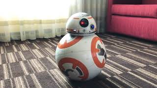 REVIEW BB8 Hero Droid from SpinMaster  Star Wars musthave [upl. by Nekial]