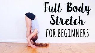 Beginner Stretches for Flexibility [upl. by Phares]