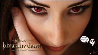 Breaking Dawn Part 2 Parody by The Hillywood Show® [upl. by Nesmat302]