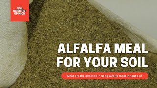 How To Use Alfalfa Meal In The Garden A Soil Scientist Look At Alfalfa  Gardening in Canada [upl. by Htesil]