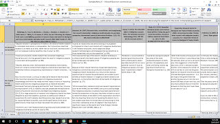 How to Create a Literature Matrix Excel [upl. by Deborah]