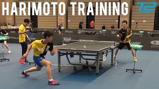 Tomokazu Harimoto Training  T2 Diamond 2019 Singapore [upl. by Lliw6]