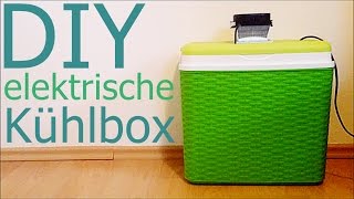 Elektrische Kühlbox selber bauen [upl. by Magner]