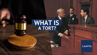 What Is a Tort  LawInfo [upl. by Yldarb809]