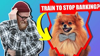 How To Stop Your POMERANIAN Barking [upl. by Xer]