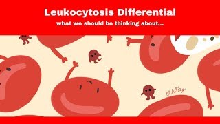 Elevated White Blood Count how to approach [upl. by Isdnil]