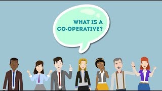 What is a coop [upl. by Adnorhs]