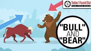 Why are Bull and Bear Markets Called That [upl. by Enelehcim]