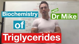 Fatty Acids Glycerol and Lipids  Biochemistry [upl. by Drida]