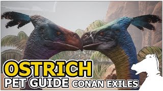 OSTRICH  Pets Guide  CONAN EXILES [upl. by Jammie]