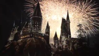 The Wizarding World of Harry Potter Premiere [upl. by Lynnette20]