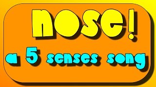 Nose and Sense of Smell A 5 senses SingAlong [upl. by Israel109]