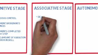 Three stages of learning movement [upl. by Ori]