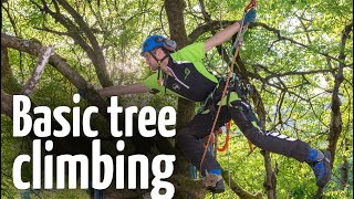 Simple amp safe tree climbing ascent technique [upl. by Niac]