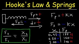 Hookes Law and Elastic Potential Energy [upl. by Eiuqram142]