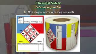 Chemical Safety [upl. by Adnale]