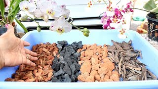 How to make best Potting Mix for Orchid  English Subtitle  Prakritis Garden [upl. by Reiss285]