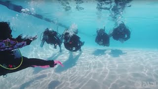 How to Get Scuba Certified [upl. by Kimmy]