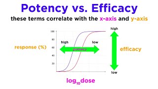 Pharmacodynamics Mechanisms of Drug Action [upl. by Keg]